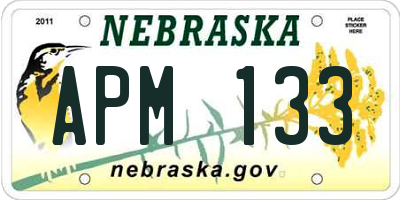 NE license plate APM133