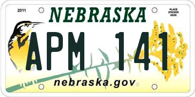 NE license plate APM141