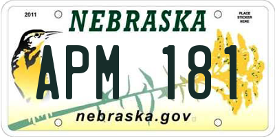 NE license plate APM181
