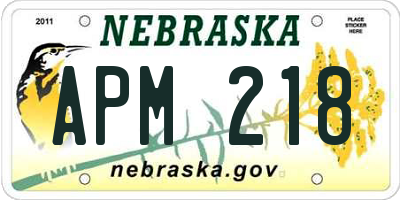 NE license plate APM218