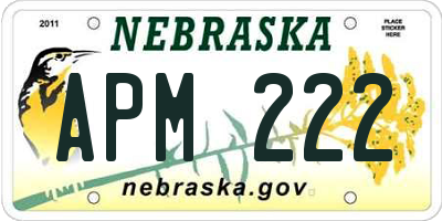 NE license plate APM222