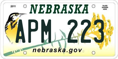 NE license plate APM223