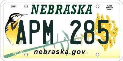 NE license plate APM285