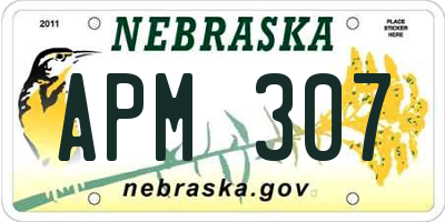 NE license plate APM307