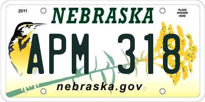 NE license plate APM318