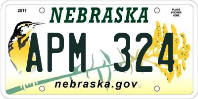 NE license plate APM324
