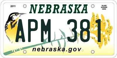 NE license plate APM381
