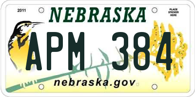 NE license plate APM384