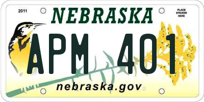 NE license plate APM401