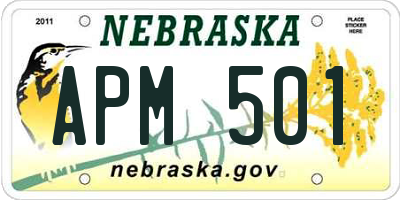 NE license plate APM501