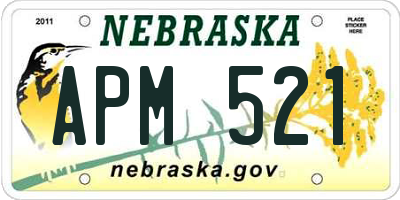 NE license plate APM521