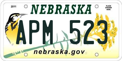 NE license plate APM523