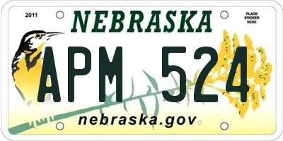 NE license plate APM524