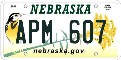 NE license plate APM607
