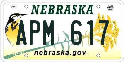 NE license plate APM617