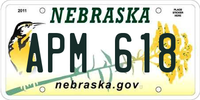 NE license plate APM618