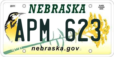 NE license plate APM623