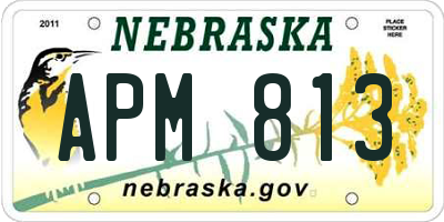 NE license plate APM813