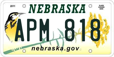 NE license plate APM818
