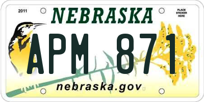 NE license plate APM871