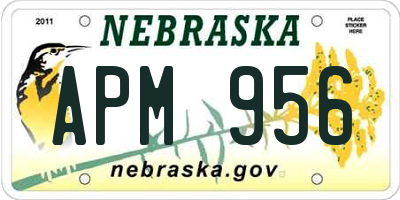 NE license plate APM956