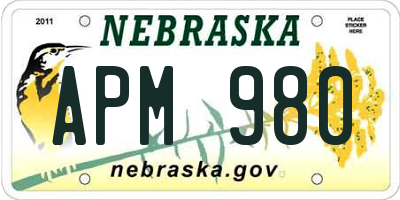 NE license plate APM980