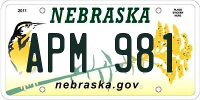 NE license plate APM981
