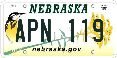 NE license plate APN119