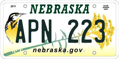 NE license plate APN223