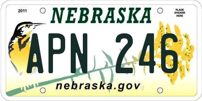 NE license plate APN246
