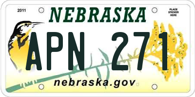 NE license plate APN271