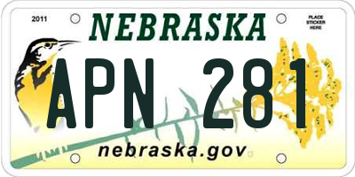 NE license plate APN281