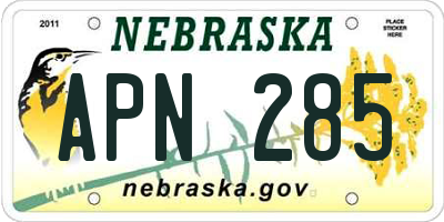 NE license plate APN285
