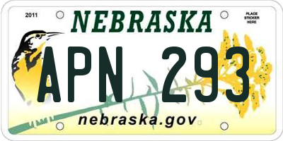 NE license plate APN293