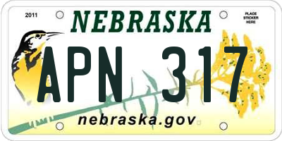 NE license plate APN317