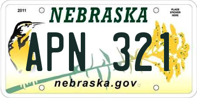 NE license plate APN321
