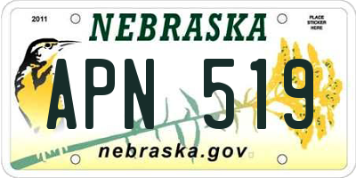 NE license plate APN519