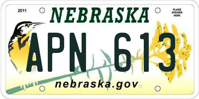 NE license plate APN613