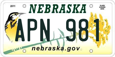 NE license plate APN981