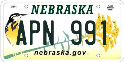 NE license plate APN991