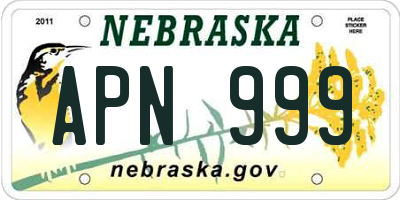 NE license plate APN999