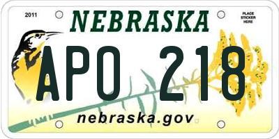 NE license plate APO218