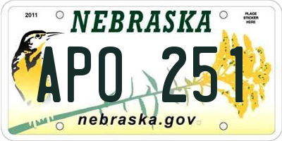 NE license plate APO251