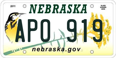 NE license plate APO919