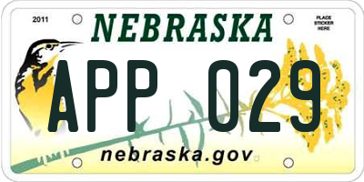 NE license plate APP029