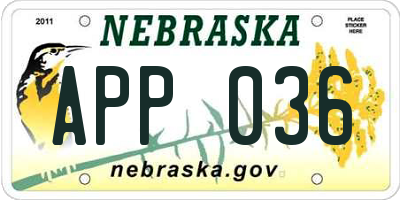 NE license plate APP036