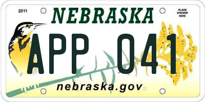 NE license plate APP041
