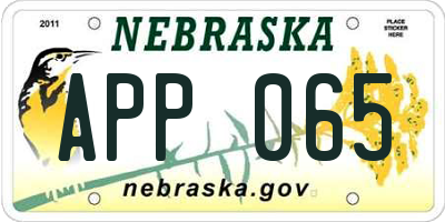NE license plate APP065