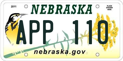 NE license plate APP110