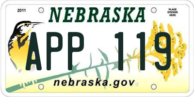 NE license plate APP119
